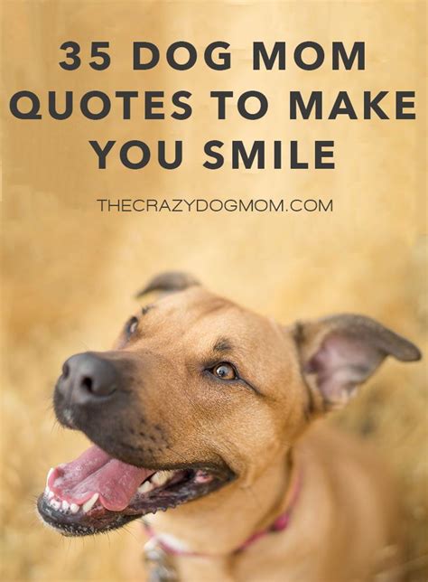 Dog Mom Quotes
