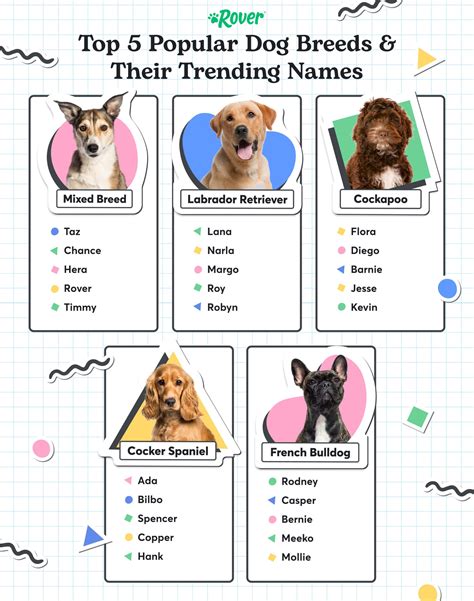 Dog Names