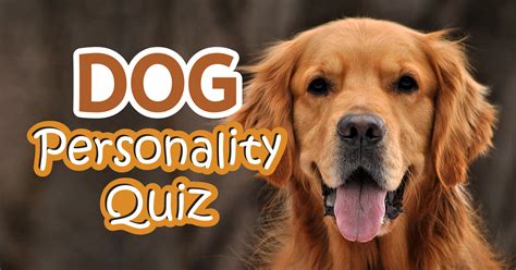 Dog Owner Personality Test