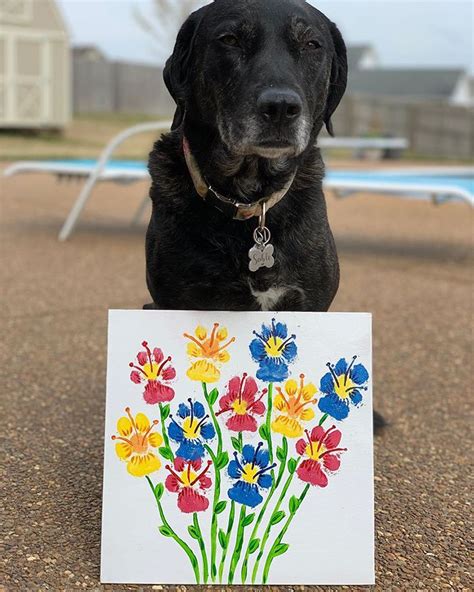 Download Dog Paw For Crafts