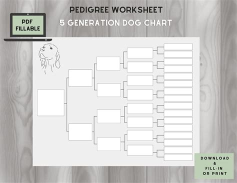 Dog Pedigree Chart Maker