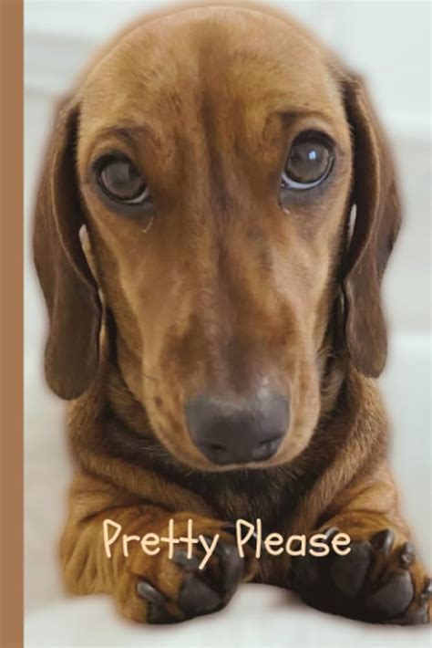 Dog Picture Please