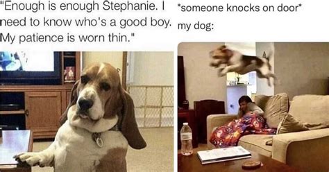 Dog Poem Meme