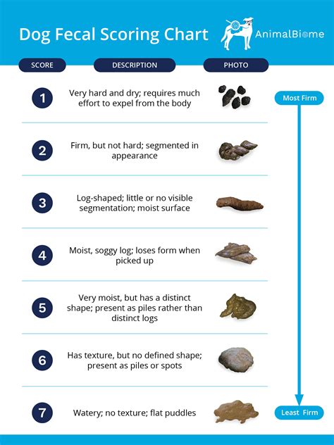 Dog Poop Diarrhea Chart