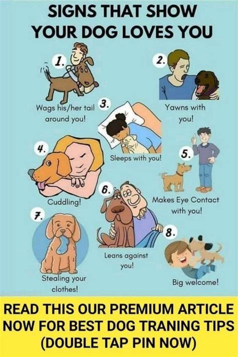 Dog Problems