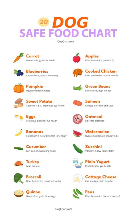 Dog Safe Food Chart
