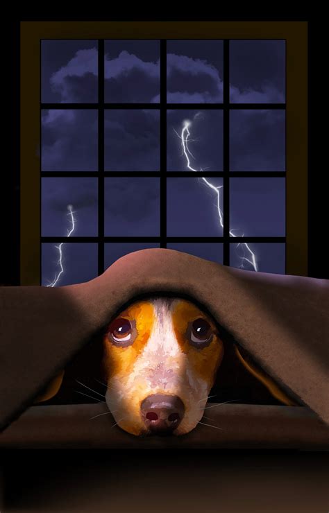 Dealing with Dog Anxiety: Tips for Soothing Your Pup Scared By Thunder