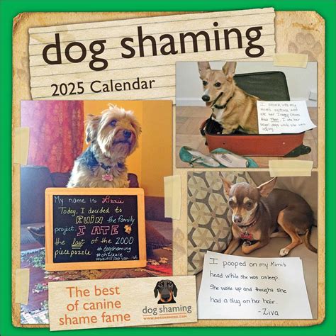 Dog Shaming Calendar