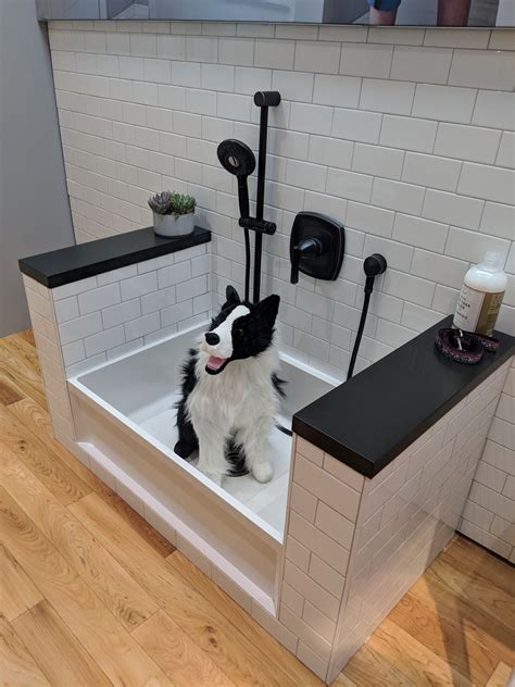 Dog Shower Station