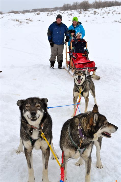 Top 5 Places to Dog Sled in Minnesota Minnesota Monthly