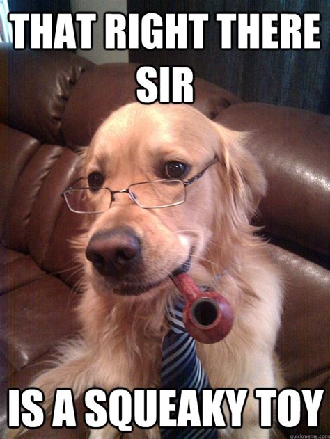 Dog Squeaky Toy Meme