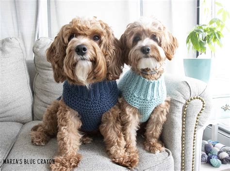 Dog Sweater Crochet