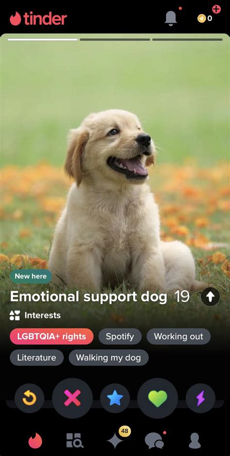 Dog Tinder Meme