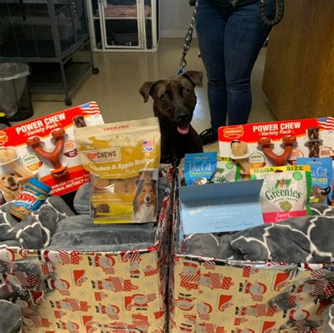 Dog Toy Donations