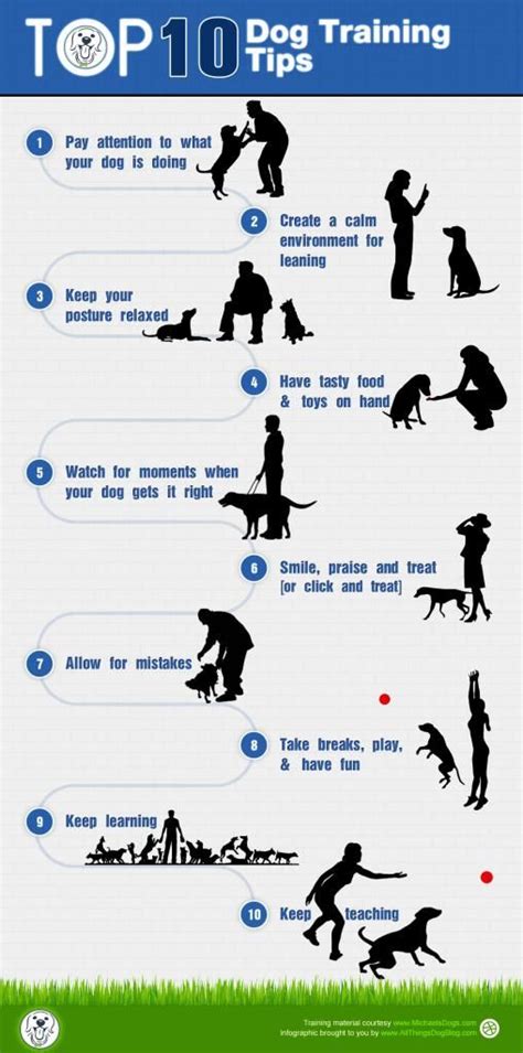Dog Training Tips