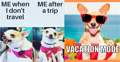 Dog Vacation Meme