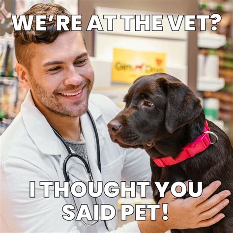 Dog Vet Meme