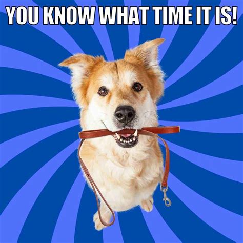 Dog Walking Meme