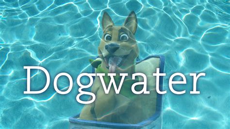 Dog Water Meme