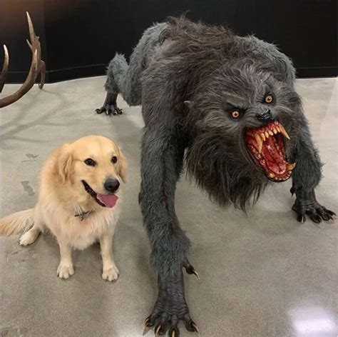 Dog Werewolf Meme
