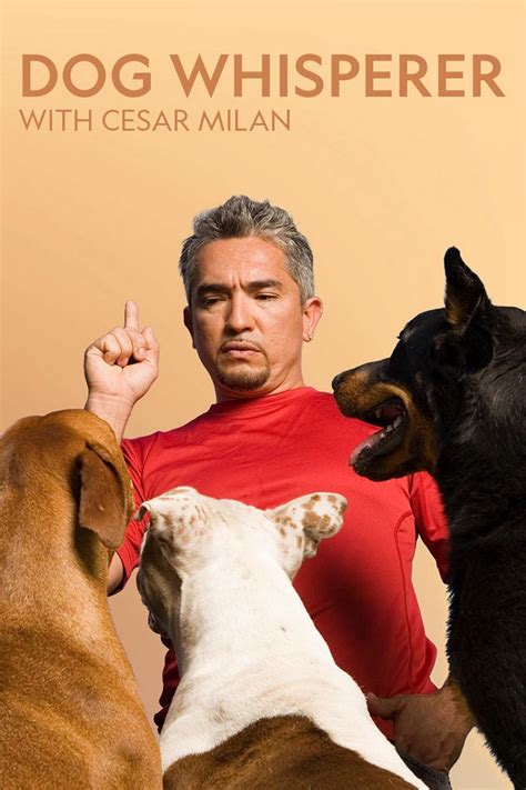 Dog Whisperer