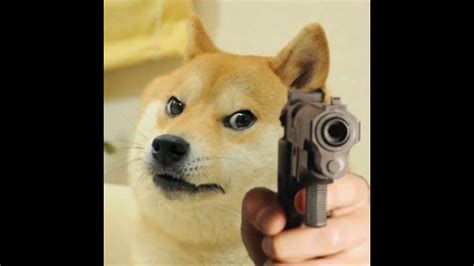 Dog With Gun Meme