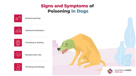 Dog poisoning