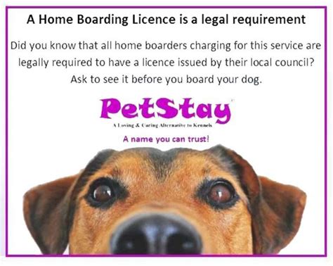 Dog-boarding-permits-and-licenses