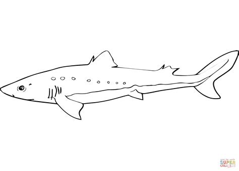 Dogfish Shark Coloring Pages