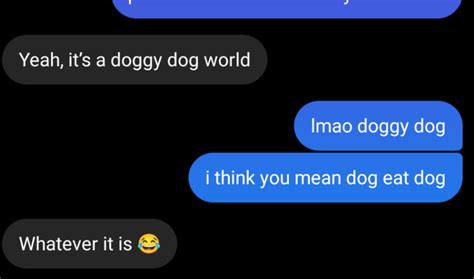 Doggy Dog World Meme