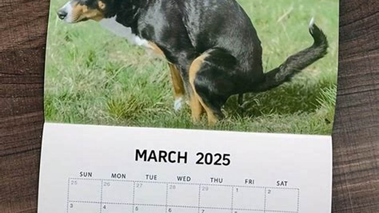 Dogs Pooping Calendar 2025