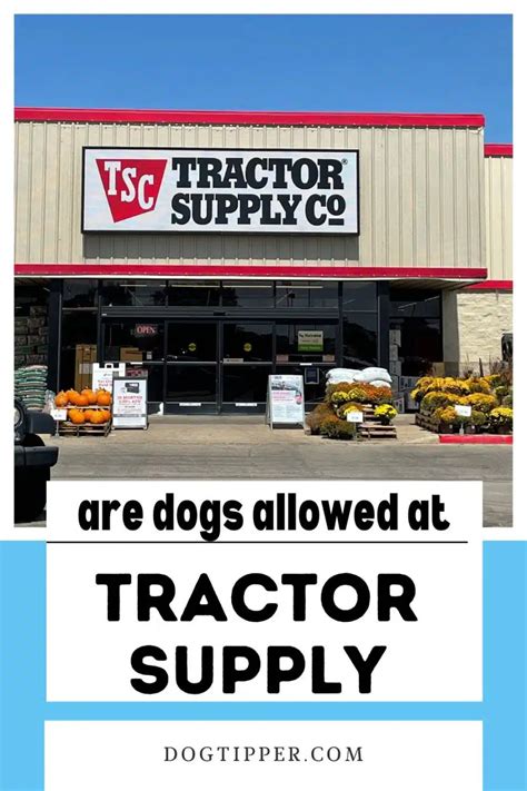 Dogs Allowed In Tractor Supply