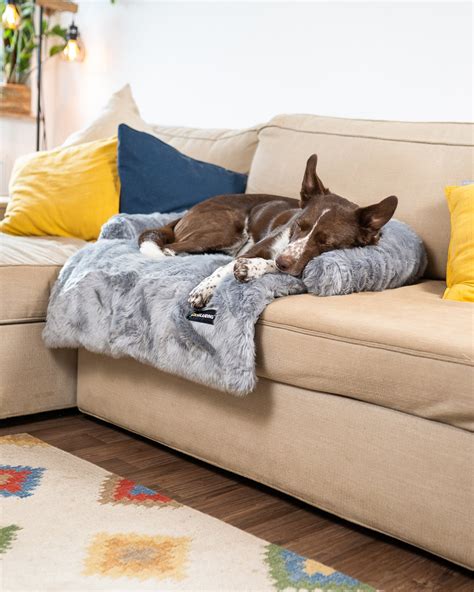 Dogs Landing Calming Furniture Protector