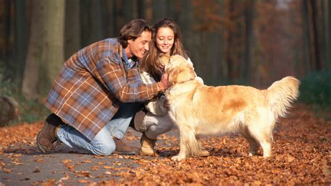 Dogs Loyalty To Humans