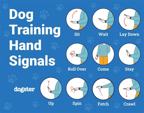Dogs Tips And Tricks