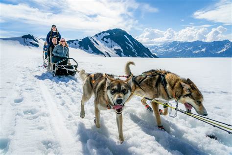 Dogsledding on a Glacier