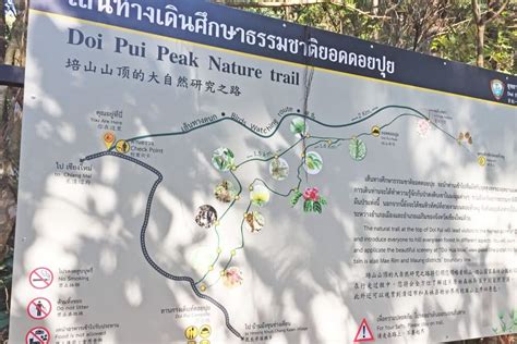 Doi Pui trail