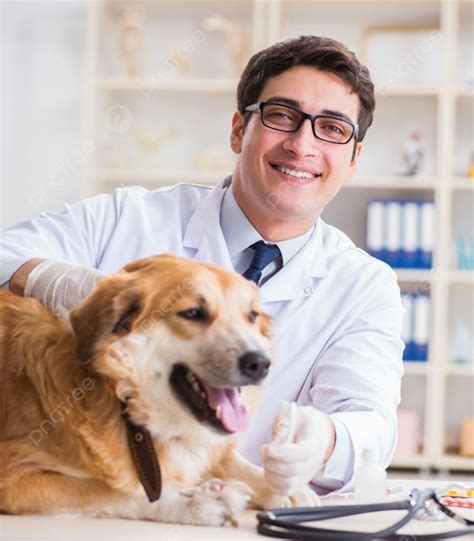 Dokter