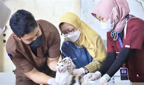 Dokter hewan panggilan Jakarta Barat