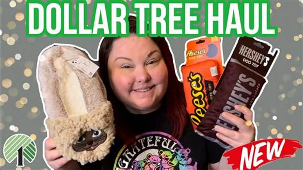 Dollar Tree Haul May 10 2024