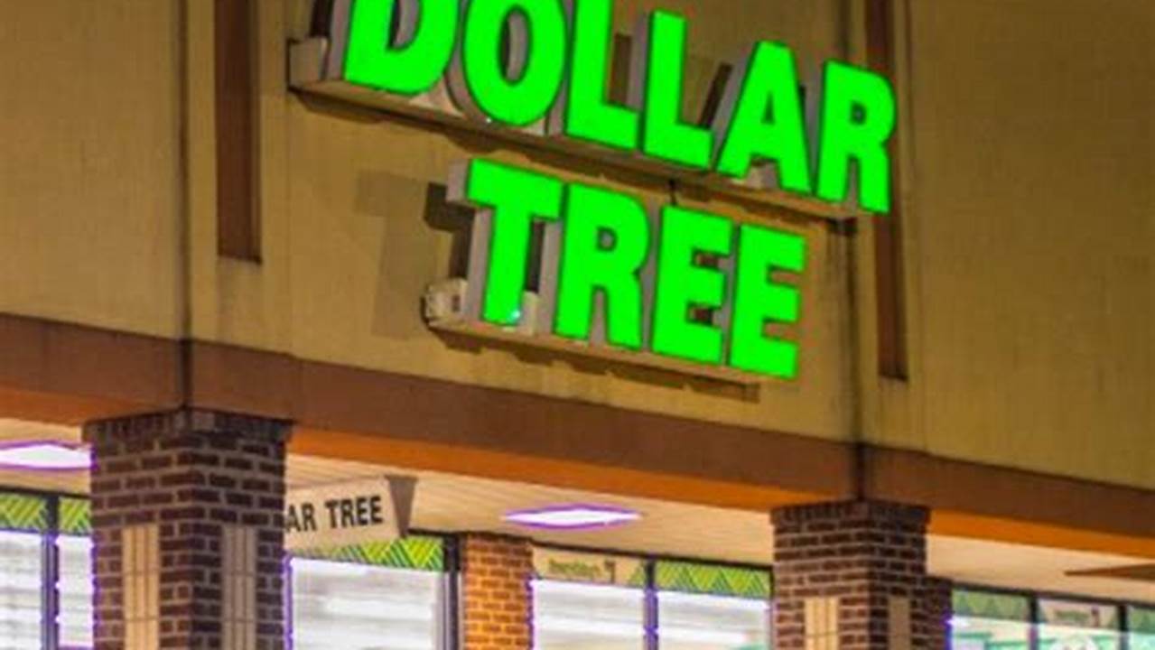 Dollar Tree January 2024