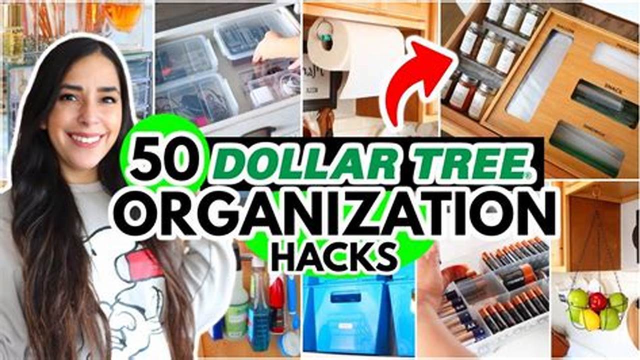 Dollar Tree Organization Hacks 2024