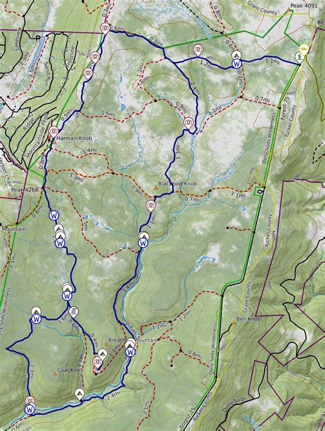 Dolly Sods Campsites Map