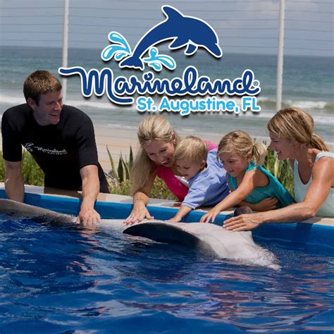 Dolphin Adventure