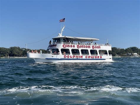 Dolphin Cruise Experience