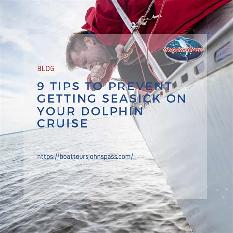 Dolphin Cruise Tips