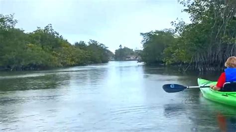 Dolphin Encounters Kayaking Tour