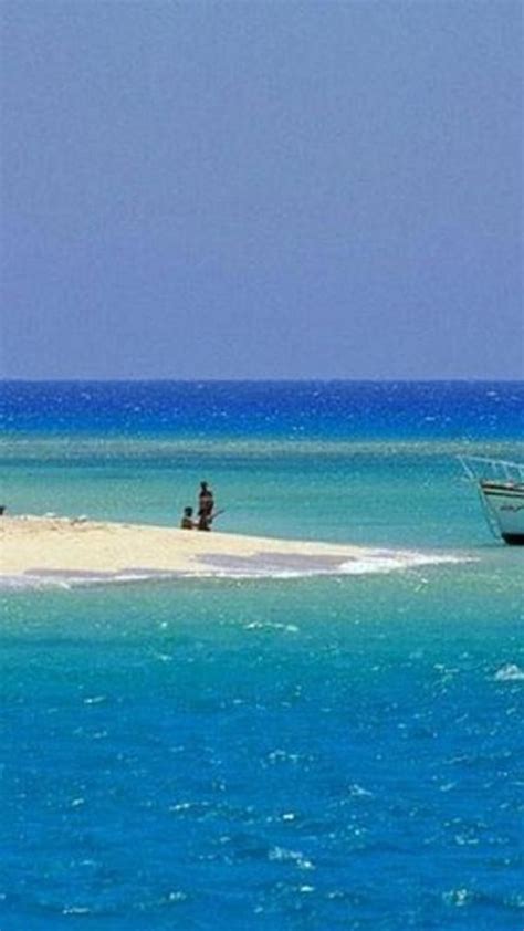 Dolphin House Red Sea