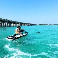 Dolphin Jet Ski Excursion