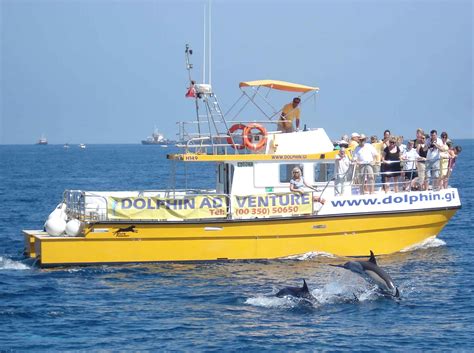 Dolphin Safari Tour